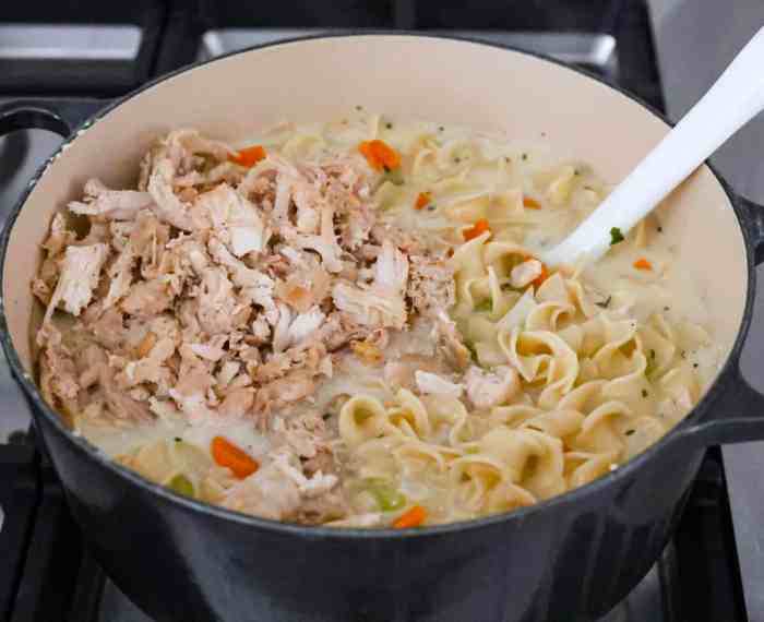 Swanson recipe chicken noodle soup