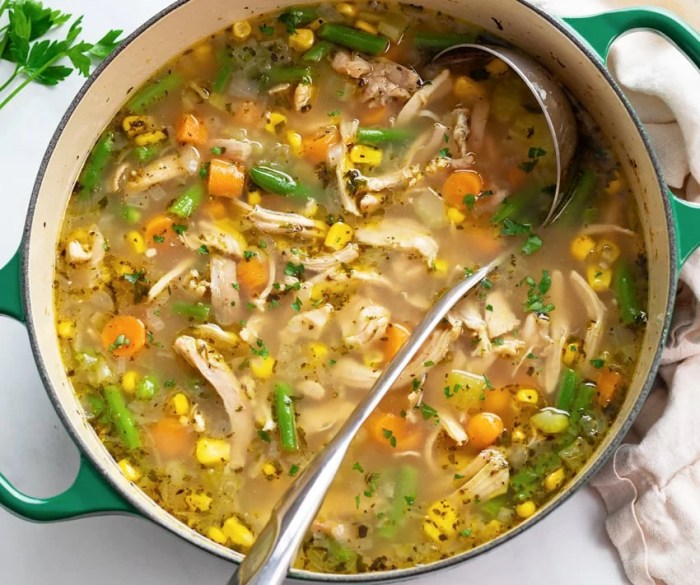 Best chicken veggie soup recipe