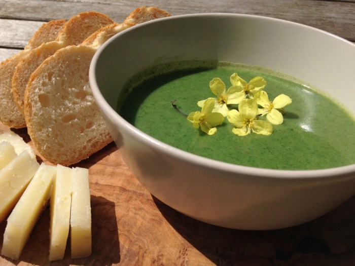 Recipes for nettle soup