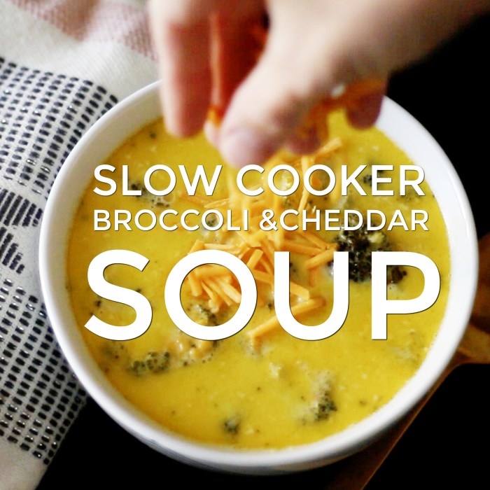 Broccoli cheddar crockpot soup recipes