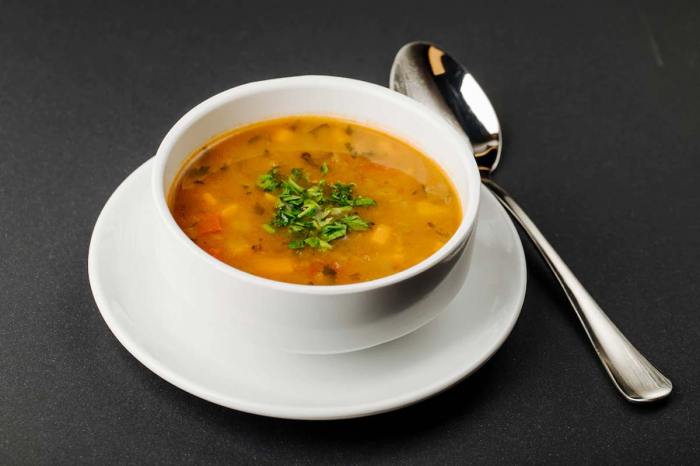 Bariatric soup recipes