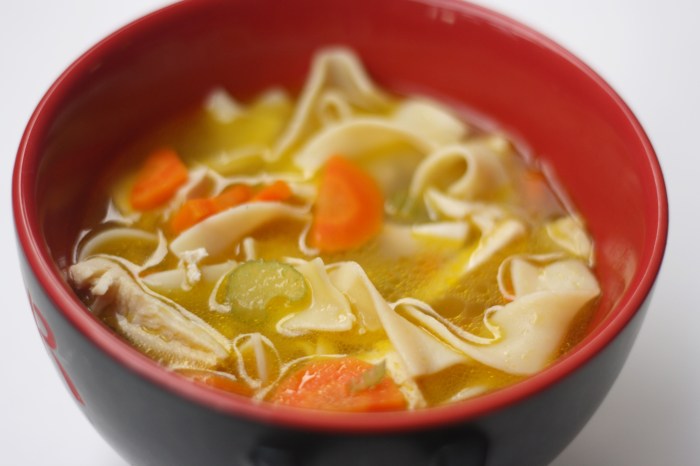 Swanson recipe chicken noodle soup