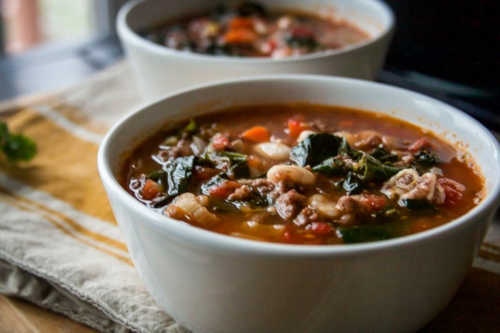 Venison soup barley vegetables