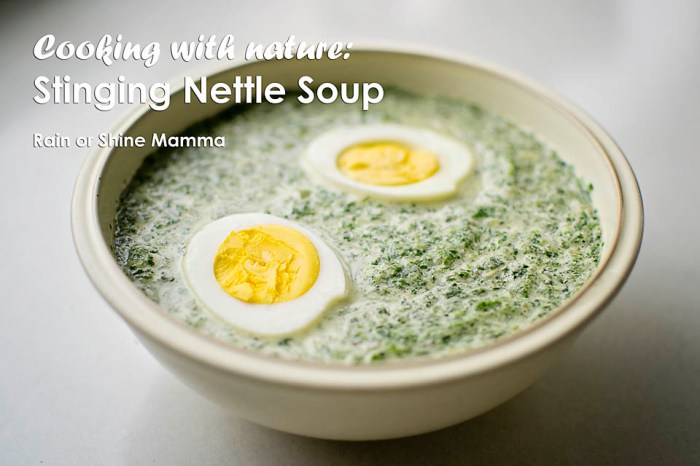 Recipes for nettle soup